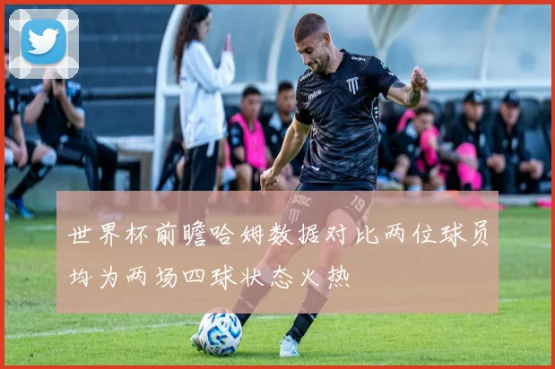 世界杯前瞻哈姆数据对比两位球员均为两场四球状态火热