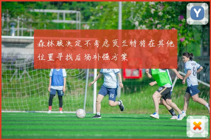 森林狼决定不考虑莫兰特将在其他位置寻找后场补强方案
