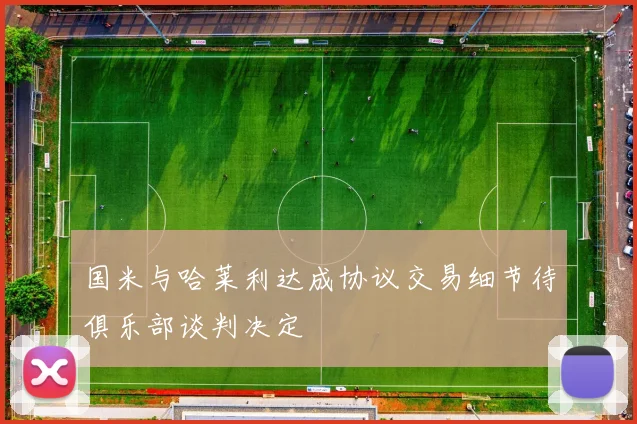 国米与哈莱利达成协议交易细节待俱乐部谈判决定