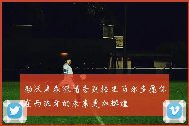 勒沃库森深情告别格里马尔多愿你在西班牙的未来更加辉煌